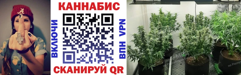 Виды наркоты Сокол Марихуана МЕФ СК Гашиш