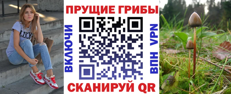 Псилоцибиновые грибы ЛСД  где найти   кракен ССЫЛКА  Сокол 